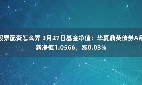 股票配资怎么弄 3月27日基金净值：华夏鼎英债券A最新净值1.0566，涨0.03%