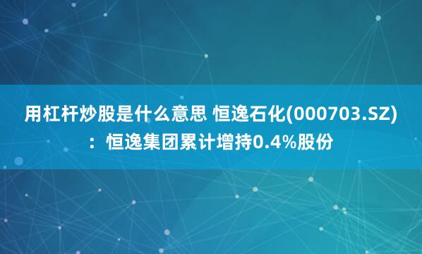 用杠杆炒股是什么意思 恒逸石化(000703.SZ)：恒逸集团累计增持0.4%股份