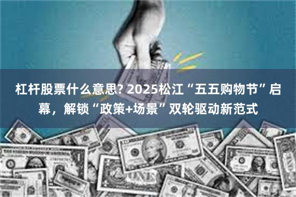 杠杆股票什么意思? 2025松江“五五购物节”启幕，解锁“政策+场景”双轮驱动新范式