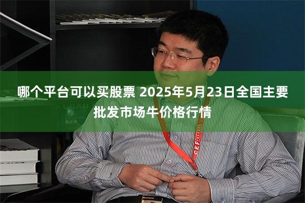 哪个平台可以买股票 2025年5月23日全国主要批发市场牛价格行情