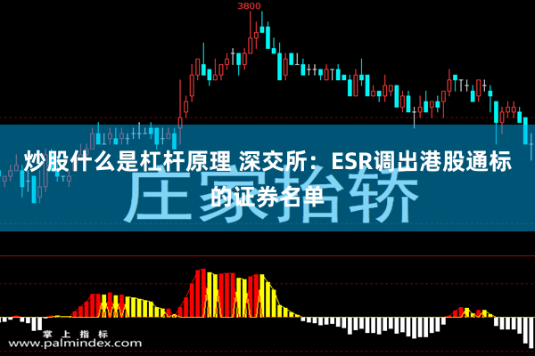炒股什么是杠杆原理 深交所：ESR调出港股通标的证券名单