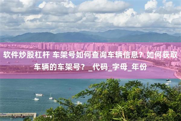 软件炒股杠杆 车架号如何查询车辆信息？如何获取车辆的车架号？_代码_字母_年份